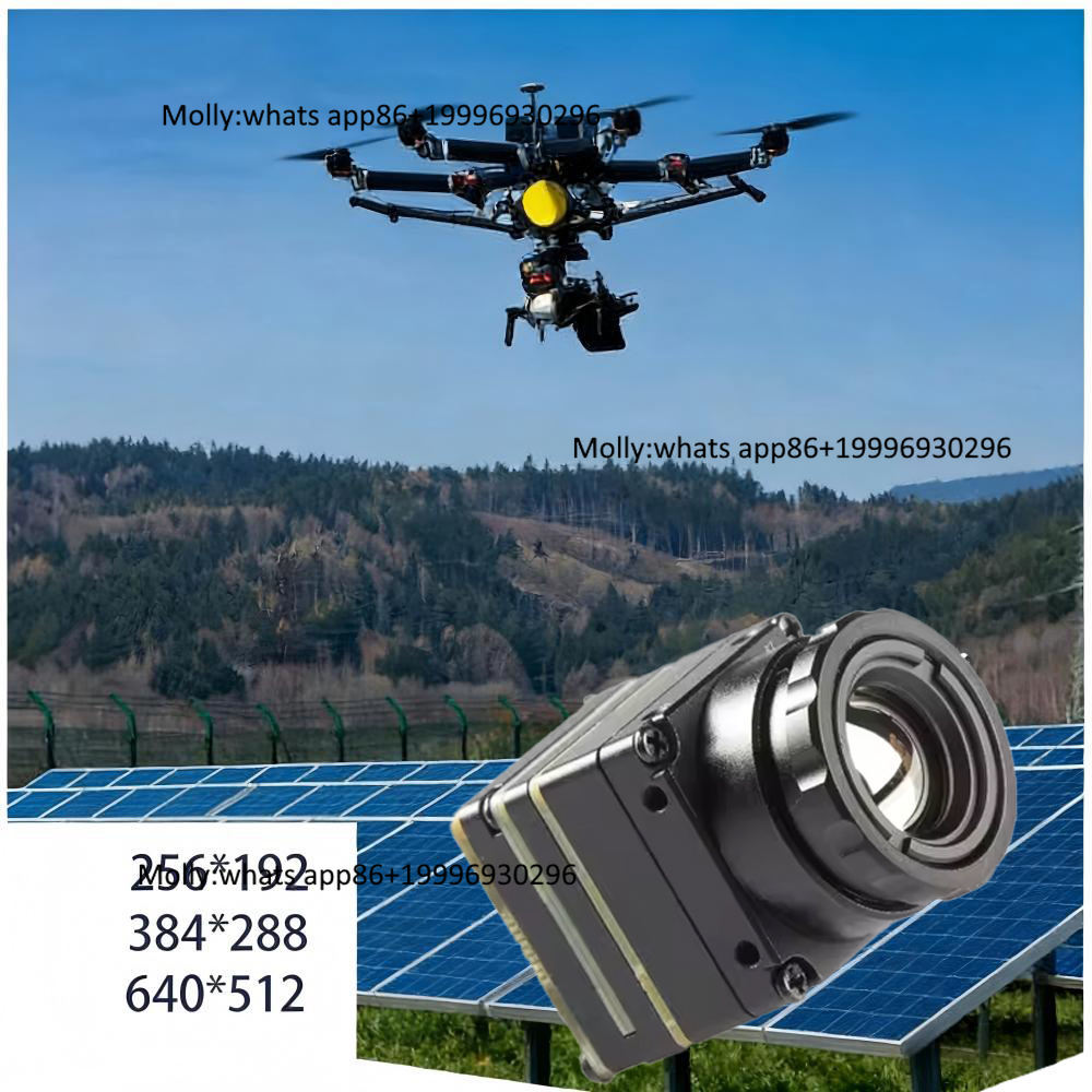 Thermal Camera Type C 384X288 - Mini-FPV-Wärmebildkameramodul mit CVBS/Type-C, 4,0/6,8/9,7mm Objektiv, 256x192/384x288/640x512